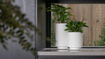 Win 3pcs Halmstad Planters and Plants Installed Valued at $1,500 from Just Add Plants