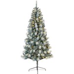 1/2 Price Christmas Trees eg 229cm 945 Tips - Grand Alpine $74.50 + Delivery ($0 in-Store/C&C/Grand Alpine) @ Big W