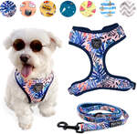 66% off: Matching Dog Harness & Lead $15 (RRP $44) + $5.99 Shipping ($0 with $79 Spend) @ Pipco Pets