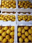 [VIC] Box of Lemons $10 @ Big Watermelon Bushy Park