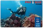 Become a PADI Certified Diver & 2 Ocean Dives with All Gear Provided $149 (NSW - Normally $800)