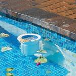 Poolskim Automated Pool Surface / Leaf Skimmer - $129 + P&P (Normal Price $159) @ Pool & Spa Warehouse