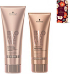 Schwarzkopf Blondme All Blondes Duo Pack $17.95 + $6.95 Shipping (RRP: $39.95) @ Serene Styles