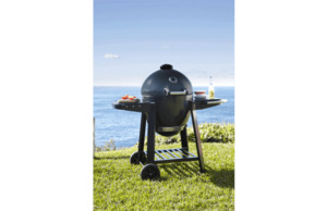 Dragon kamado clearance bbq