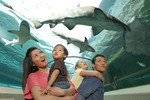[NSW] Free Entry for Mum (with Full Paying Person) to Sydney's Wild Life Zoo, Madame Tussauds, Sea Life Aquarium @ Merlin Group