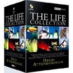 The Life Collection: David Attenborough (24 Disc BBC Box Set) [DVD] £37.49 (56AUD) 