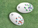Buy One Get One Free on All Coreplay Academy Rugby Balls $49.99 + $7.99 Delivery @ W RUGBY