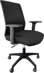 Bianca Mesh Chair $99 (Was $169) Delivered @ Epic Office Furniture