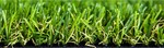 Artifical Grass Premier-Great-Sandy Synthetic Turf 20mm $18.99m2 @ Premier Grass