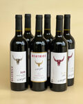 BEATRICE Red Wine Trial Box (4 Shiraz Cabernet + 2 Shiraz) $35 (Was $69) + Delivery ($0 ADL C&C) @ Budget Selection
