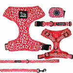 Dog Harness $20, Collar $10, Lead $13 + $8.95 Delivery ($0 with $60 Order) @ The Long Dog
