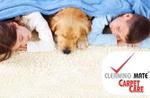 Brisbane (20km from CBD) - $29 for 2 Rooms Carpet Steam Cleaned and Stain Removal - Scoopon Deal