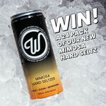 Win 1 of 3 24 Pack of Mimosa Hard Seltz Tinnies from W Seltzer (Wayward Brewing)