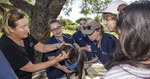[WA] $0 For Dogs/Puppies Health Checks, Microchipping, Flea & Worming Treatment & More (Booking Required) @ RSPCA, Thornlie