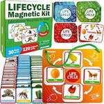 [Prime] QUOKKA Magnetic Life Cycle Kit 30 Flash Cards $22.49 Delivered @ Adducate via Amazon AU