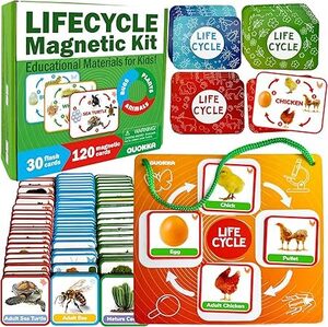 [Prime] QUOKKA Magnetic Life Cycle Kit 30 Flash Cards $22.49 Delivered @ Adducate via Amazon AU