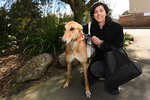 [VIC] Greyhound Adoption Day 16/11 Adoption Fee Waived for All Greyhounds Rehomed @ GAP Seymour