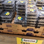 Blueberries $1.50/Punnet @ Woolworths Top Ryde NSW