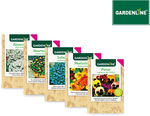 Seed Packets $0.99ea - Assorted Veggies and Flowers at ALDI Special Buys