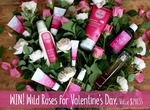 Win a Weleda Wild Rose Face & Body Care Set Worth $290.55 from Weleda