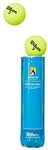 $5 Wilson Australian Open 4 Pack Tennis Balls at Target (In-Store)