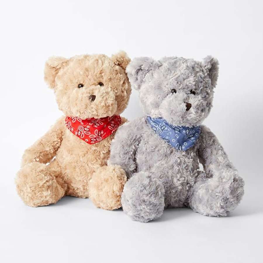 bears with bandanas