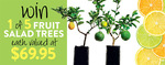 Win 1 of 5 Fruit Salad Trees Worth $69.95 Each from Gardening Australia / Next Media