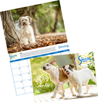 2019 Rescued Dog/Cat Calendar $10 (Was $20) + Delivery @ Save-A-Dog Scheme