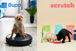 Win 1 of 2 Scratch Dog Food and Bupa Pet Insurance Prize Packs Worth $2,080 from Truly Aus