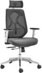 ErgoDuke Ultra-Flex Ergonomic High Back Office Chair with Headrest $199 + Delivery @ DukeLiving via MyDeal