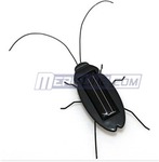 Meritline Solar Powered Cockroach Toy - 99c with Free Shipping (Normally $2.39)