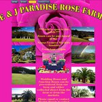 E&J Paradise Rose Farm Door Sales $15 for a Bunch (10 Long Stem) Sunshine Coast QLD
