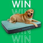 Win a Pawpedics Dog Bed + Bag of Dog Food (Worth $299) from Pet Market