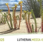 Free Lutheran 2025 Calendar