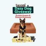 Win a $500 Dazy Dog Voucher + $500 Groomi Voucher from Dazy Dog + Groomi