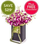 Singapore Orchids $50.95 Delivered (were $79.95) with Free Chocolates @ Fresh Flowers (NSW/VIC Only)
