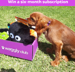 Win a 6-Month Subscription from Waggly Club