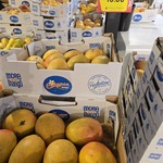 [VIC] Calypso Mangoes $10/Tray @ Sacca's Fine Foods, Blackburn North