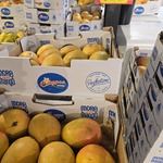 [VIC] Calypso Mangoes $10/Tray @ Sacca's Fine Foods, Blackburn North