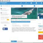 Adelaide Dolphin Cruise - Half Price (Save $34) with Optional Dolphin Swim Upgrade via Experience Oz