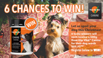 Win 1 of 6 Rose-Hip Vital® Canine 500g Packs for Your Dog worth $99.95 each