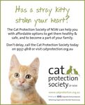 [NSW] Adopt-a-Stray - $100 Desexing, Vaccination, Microchipping @ Cat Protection Society of NSW