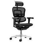 Ergohuman Plus Elite V2 Mesh Office Chair - $579 + Shipping @ Temple and Webster