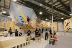 [NT] Half Price Entry on 1 August from 5:30pm @ Gecko Climb Darwin