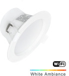 9W White Ambiance Smart Wi-Fi Downlight - from $43.15 (after 10% off /W Coupon) + Registered Shipping @ Lectory.com.au
