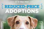 [NSW] Adoption Fees Reduced by 50% for Selected Animals @ RSPCA NSW