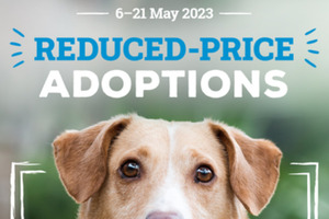 how much does it cost to adopt a dog from rspca nsw