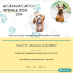 Win a 1 Year Lyka Pet Food Subscription or 1 of 3 Minor Prizes from Lyka