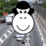 Moving Home? Removalists: Call GorillaMovers for a Special $90/Hour for 2 Gorilla Men! (VIC)