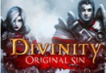 Divinity: Original Sin for AU $31.05 at GameMafia.pro + Discount